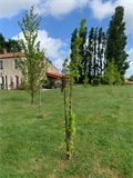 Photo numero 43647717 du bien UBI414385322